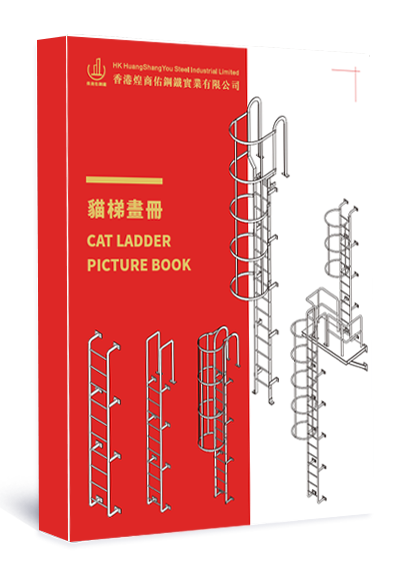 Cat Ladder Picture Book